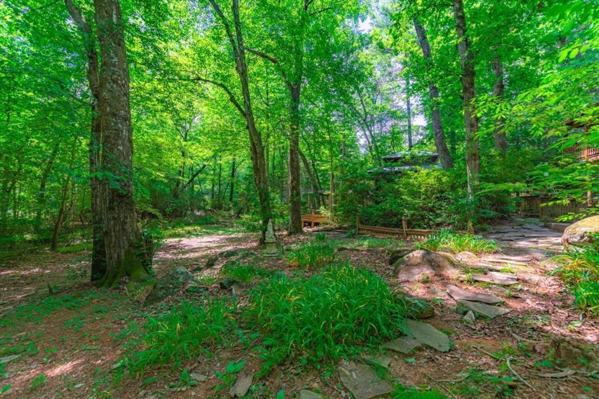 Waterfront Mountain Cabin With Hot Tub Βίλα Blue Ridge Εξωτερικό φωτογραφία